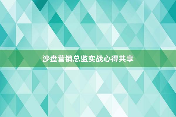 沙盘营销总监实战心得共享